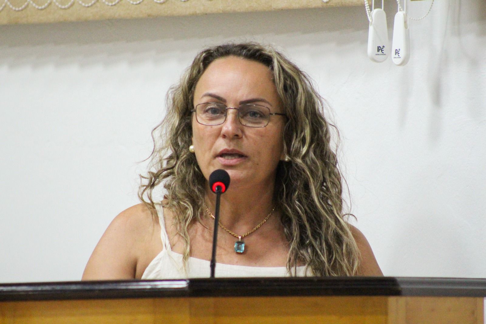 Vereadora Daniela solicita pavimentação asfáltica pelo Canto dos Delfinos até Rio de Dentro 